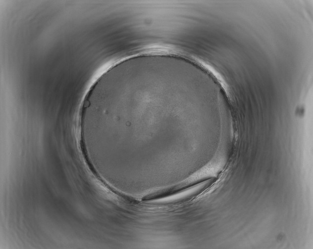 X0000099581467200805161224