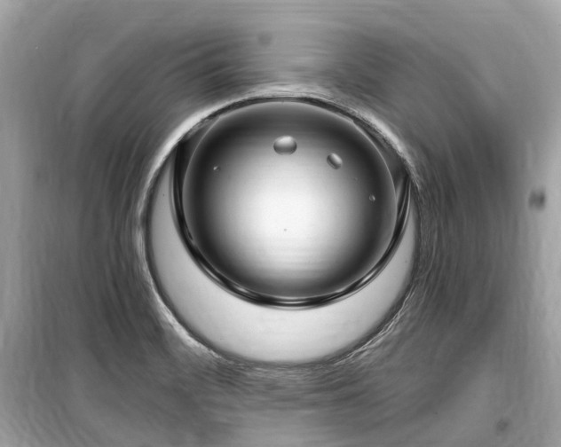 X0000099581468200805161224