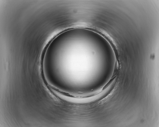 X0000099581469200805161224