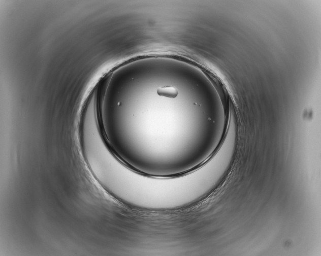 X0000099581472200805161224