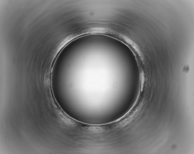 X0000099581473200805161224