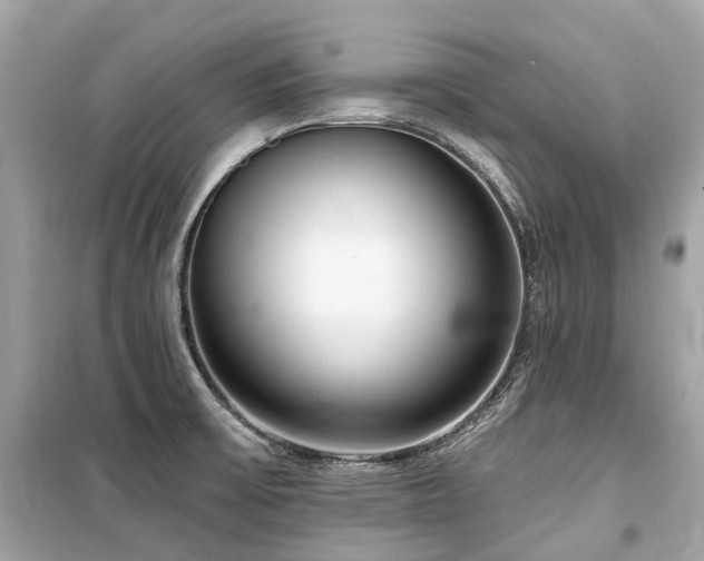 X0000099581475200805161224