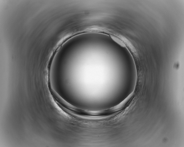 X0000099581476200805161224