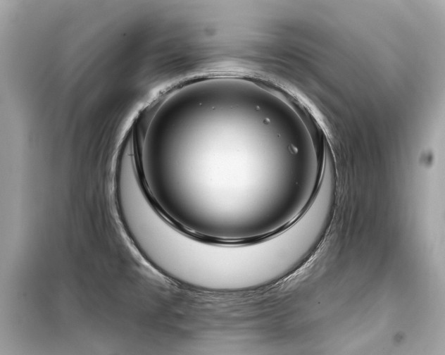 X0000099581477200805161223