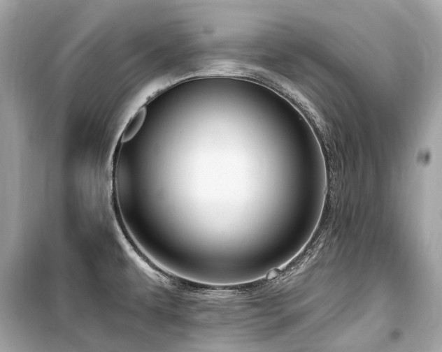 X0000099581479200805161223