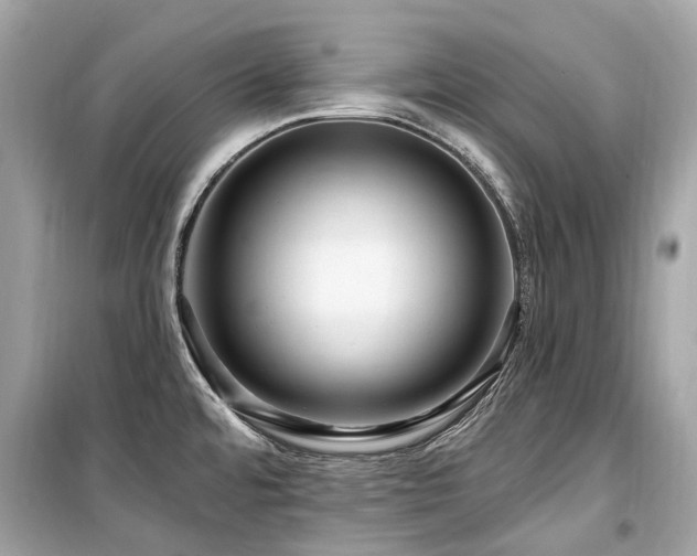 X0000099581480200805161223