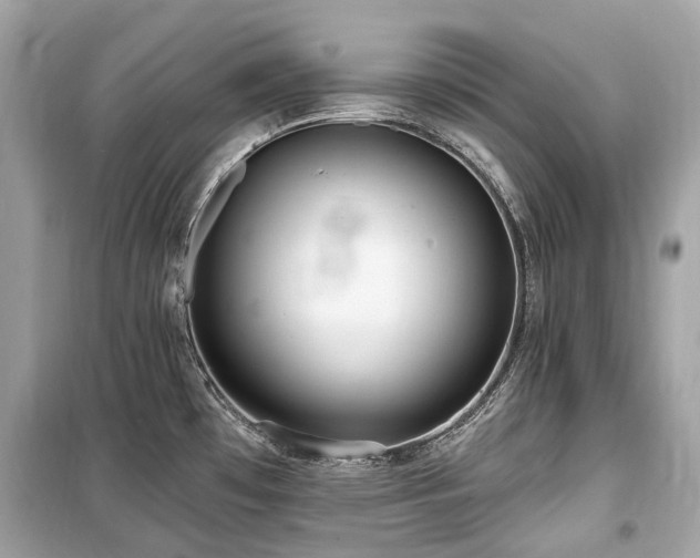 X0000099581481200805161223