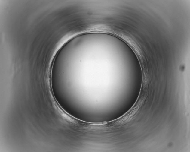 X0000099581486200805161223