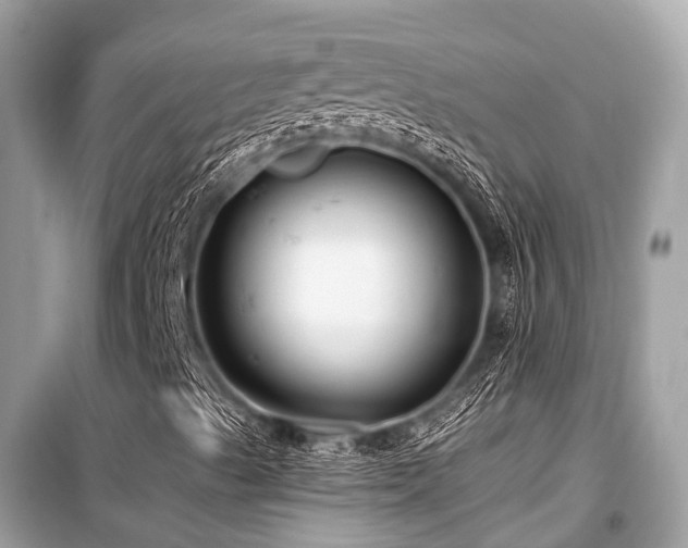 X0000099581489200805161222