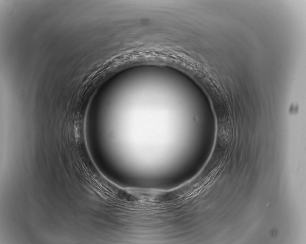 X0000099581490200805161222