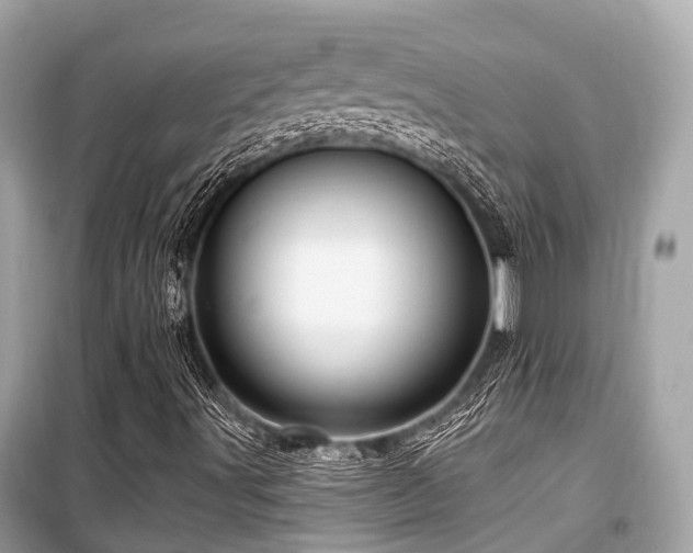 X0000099581491200805161223
