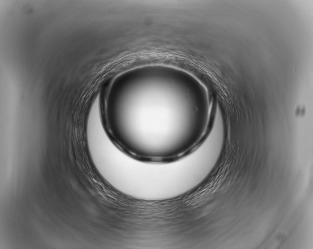 X0000099581492200805161223