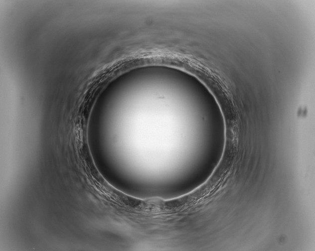 X0000099581493200805161223