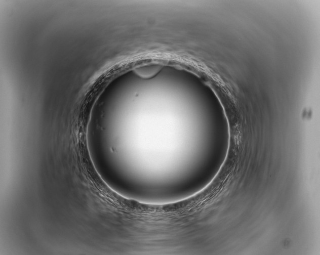 X0000099581495200805161223