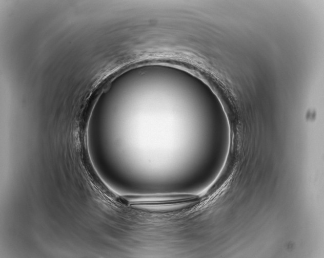 X0000099581497200805161223