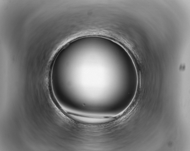 X0000099581500200805161223
