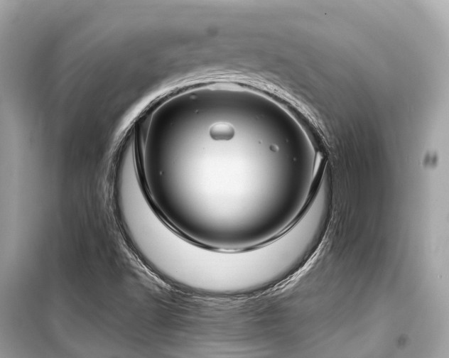 X0000099581502200805161223