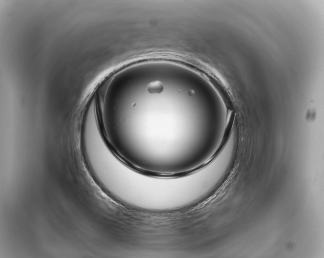 X0000099581504200805161223