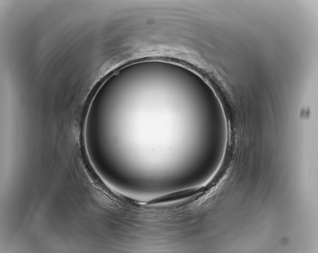 X0000099581505200805161223
