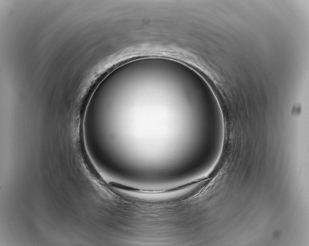 X0000099581507200805161223