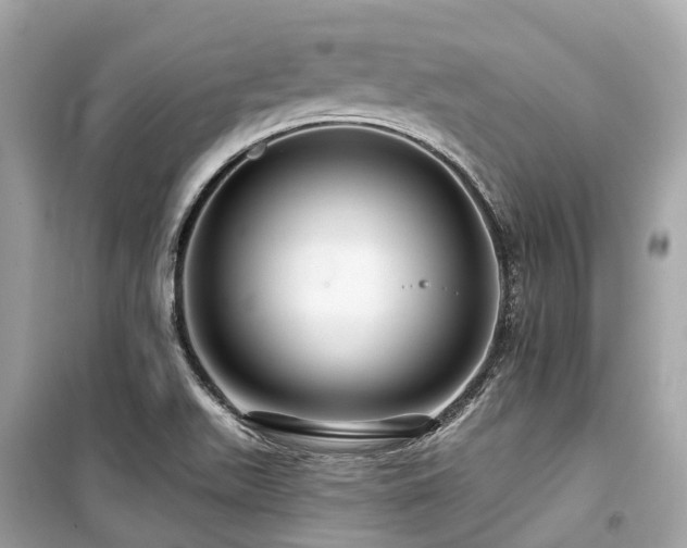 X0000099581511200805161223