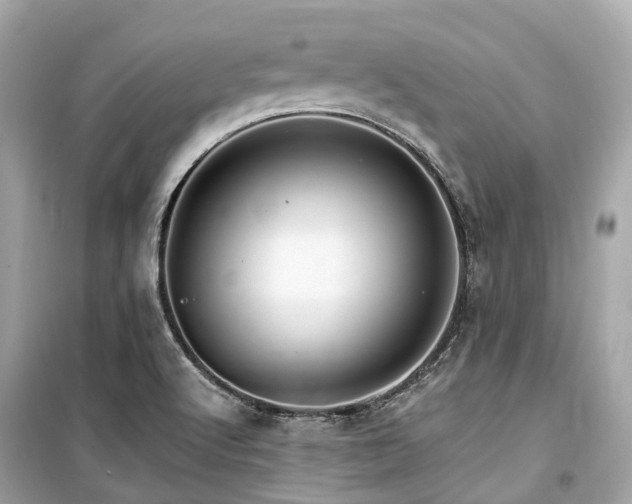 X0000099581512200805161223