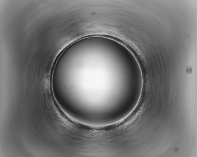 X0000099581513200805161223