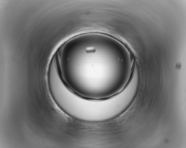X0000099581516200805161223