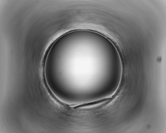 X0000099581517200805161223