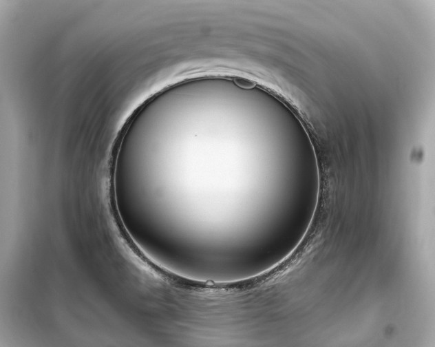 X0000099581518200805161223
