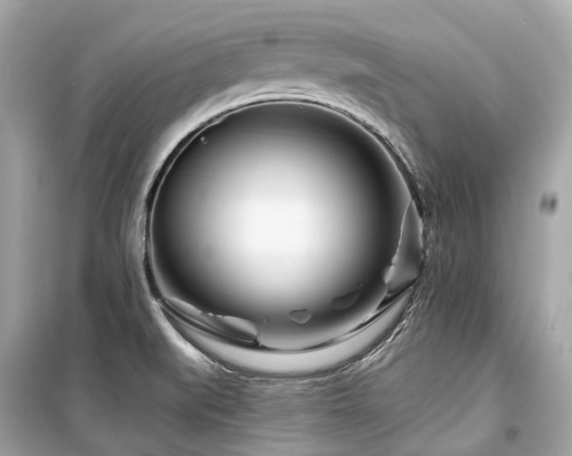 X0000099581519200805161223