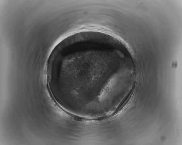 X0000099581522200805161223
