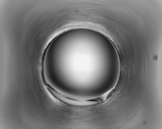 X0000099581523200805161223