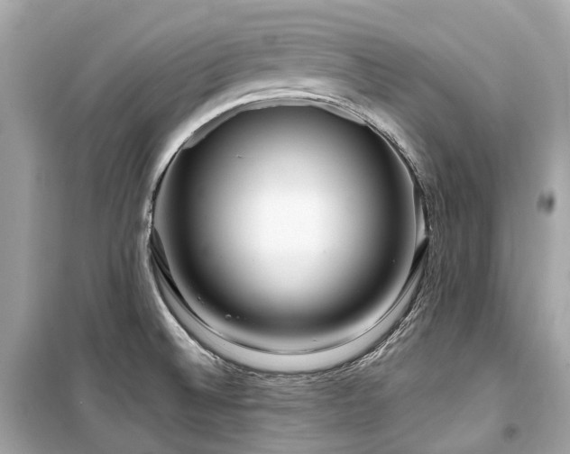 X0000099581524200805161223