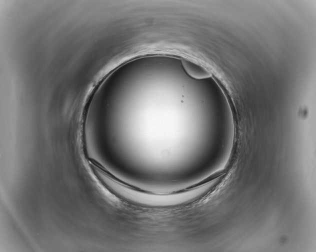 X0000099581525200805161223