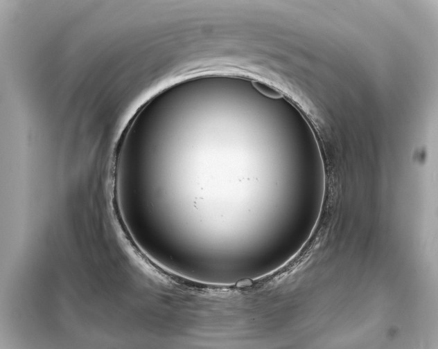 X0000099581526200805161223