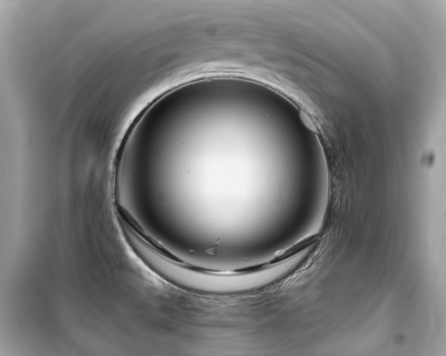 X0000099581527200805161223