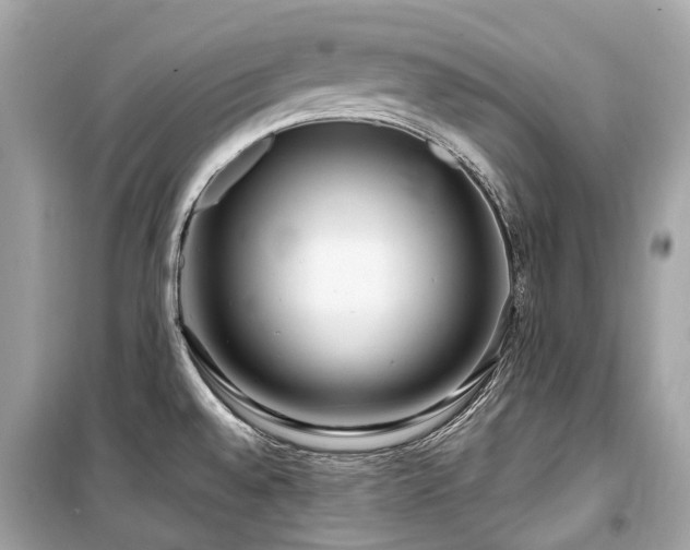 X0000099581528200805161223