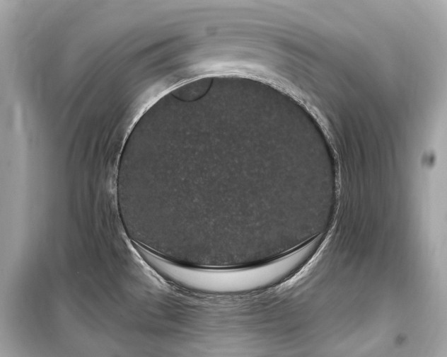 X0000099581529200805161223