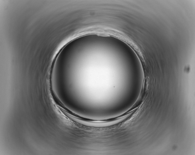 X0000099581530200805161223