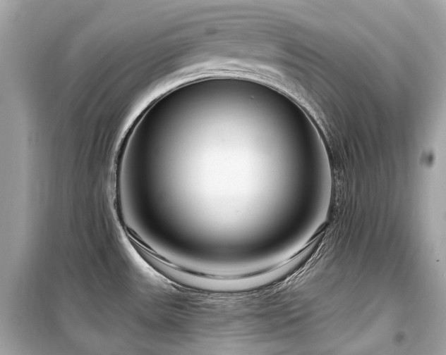 X0000099581531200805161223