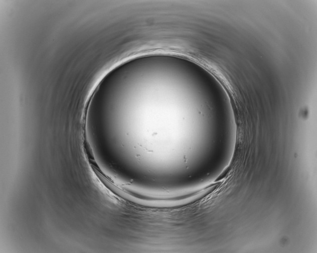 X0000099581532200805161223
