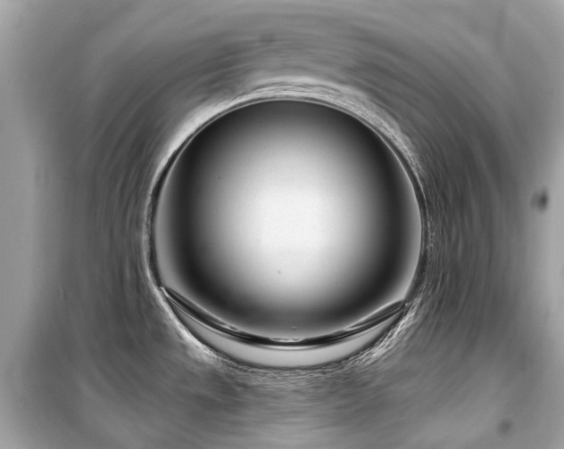 X0000099581533200805161223