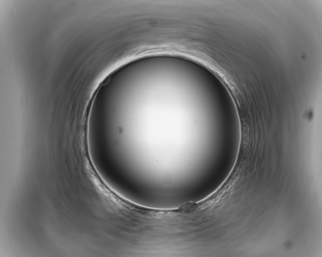 X0000099581534200805161223