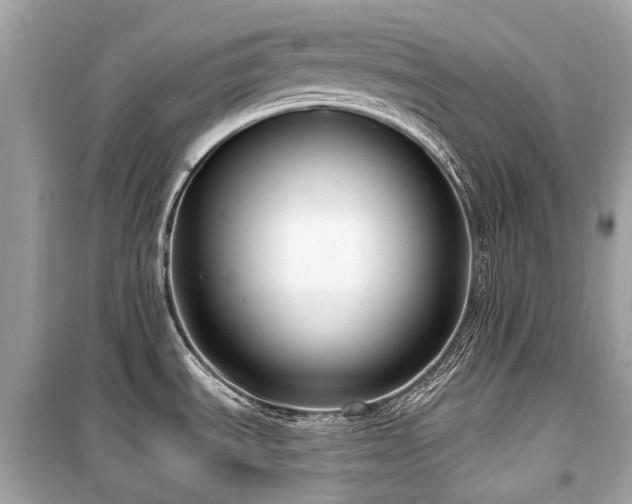 X0000099581535200805161223