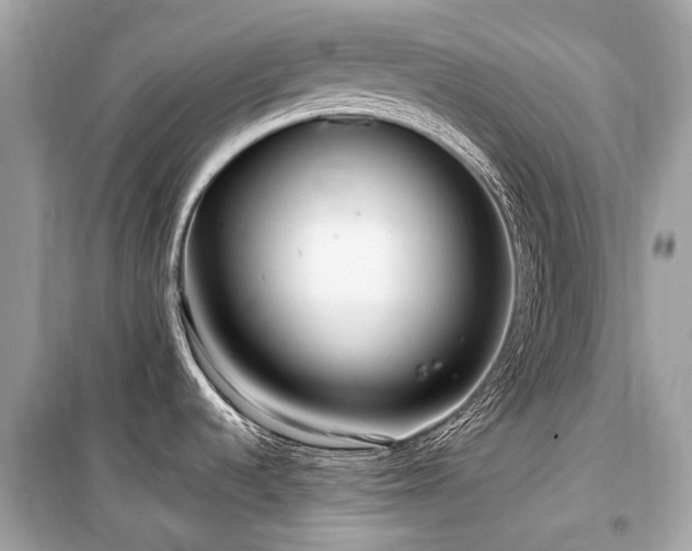 X0000099581536200805161223