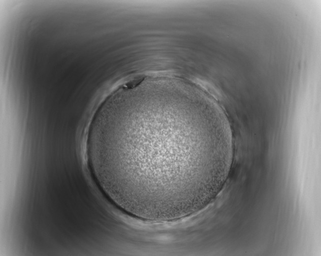 X0000099580002200805231600