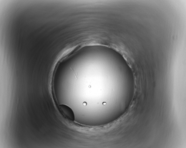 X0000099580003200805231600