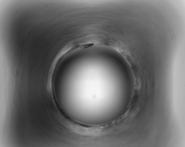 X0000099580004200805231600