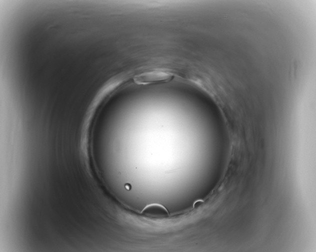 X0000099580006200805231600